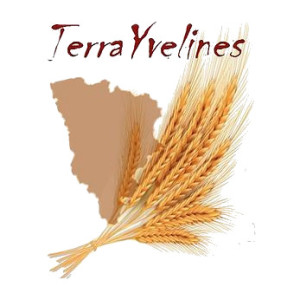 Ass_ter_Logo terrayvelines